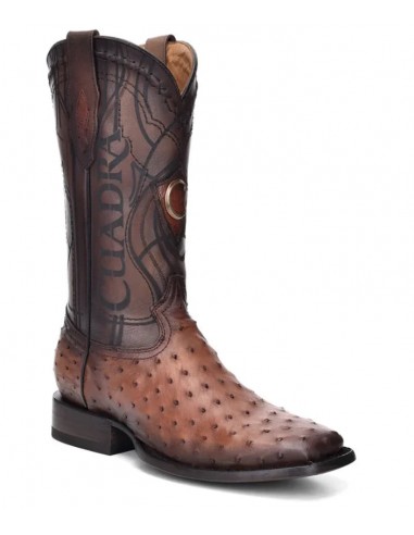 Cuadra Mens Cowboy Ostrich Boots Moroni Castano Economisez 