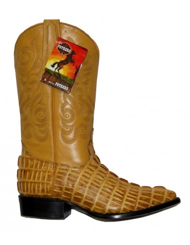 Potrero Boots Crocodile Print Buttercup Véritable concentré