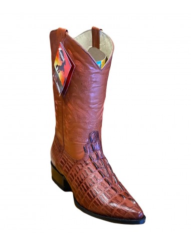 Potrero Mens Boots Crocodile Print Cognac hantent personnes