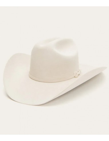 Stetson Skyline 6X Cowboy Hat Silverbelly rembourrage situé sous