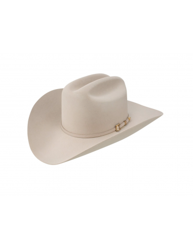 Stetson 6X Silverbelly Guadalupana Felt Hat Par le système avancé 