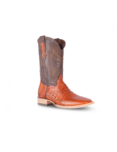 Texas Country Exotic Boot Cola Caiman Belly Brandy LM10 les muscles