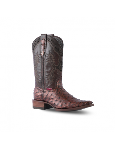 Texas Country Western Boot Ostrich Paris Verzy Toe AV160 offre 