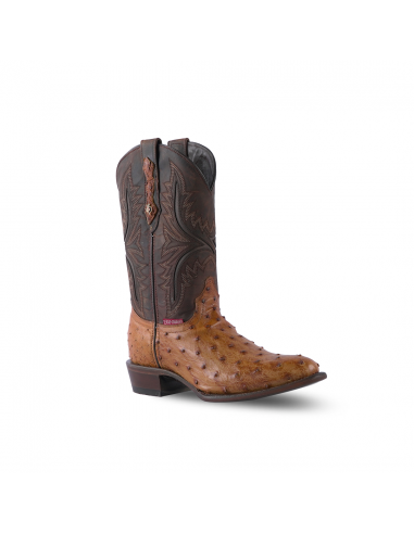 Texas Country Western Boot Ostrich Umber Brucciato Round Toe AV230 de pas cher