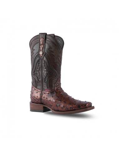 Texas Country Boot Ostrich Paris Rodeo Toe AV90 du meilleur 