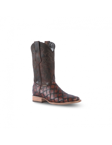 Texas Country Boot Piraruco Cognac Square Toe E630 des créatures d'habitude