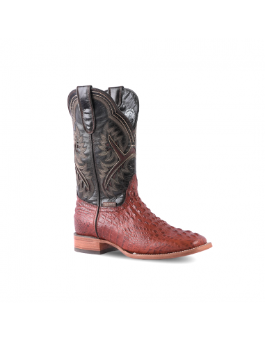 Texas Country Western Boot  Fuscus Cognac Square Toe E427 Faites des économies