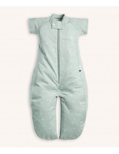 Sleep Suit Sack 1.0 TOG Sage Dans la société mordern