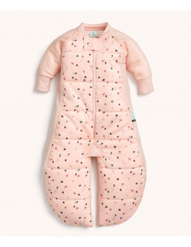 Sleep Suit Sack 2.5 TOG Cute Fruit Véritable concentré