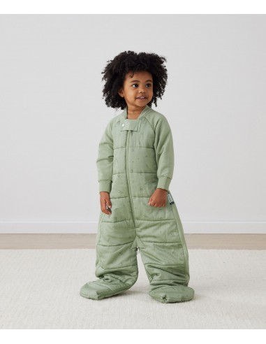 Sleep Suit Sack 2.5 TOG Willow offre 